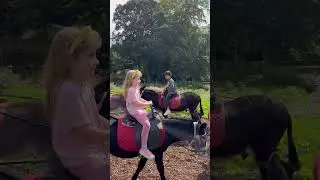 Donkey ride in uk 