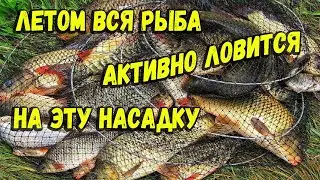 Летом вся рыба кидается на эту насадку