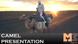 Camel Presentation