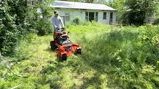 They FOUND him on the porch one morning and since then the yard has TAKEN OVER