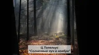 Ц. Топелиус Солнечный луч в ноябре (пересказ А.Любарской)