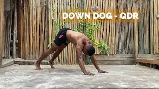 Down Dog QDR variation; Warming Up for Push and Upper Body