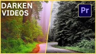 Premiere Pro : How to Darken Video Theme