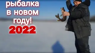 РЫБАЛКА в новом году ОГОНЬ!|рыбалка на льду|2022