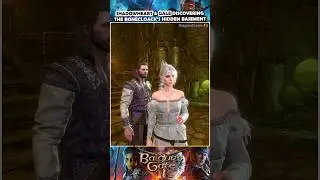 When Gale & Shadowheart found a hidden basement in Baldur's Gate 3