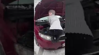 Редкое видео - автошкура