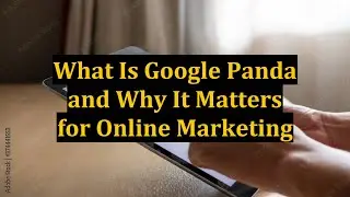 What Is Google Panda and Why It Matters for Online Marketing