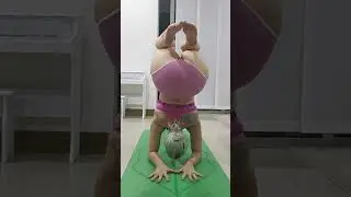 Pinchamayurasana Hollow back / Paro de antebrazos con retro flexion