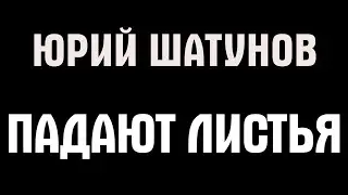 Юрий Шатунов - Падают листья (Караоке)