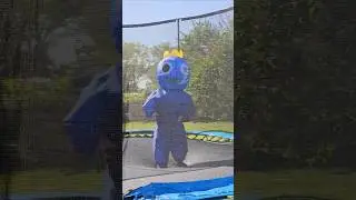 Blue Jumping on the Trampoline!