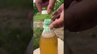 You’ll Never Throw Away Bottle Caps Again After Seeing This!