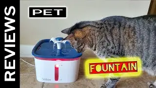 Pet Fountain Review