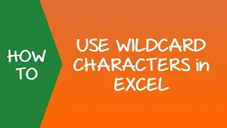 How to Use Wildcard Characters in Excel (Examples)