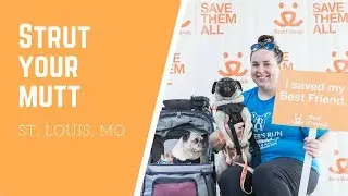 Strut Your Mutt St. Louis 2017
