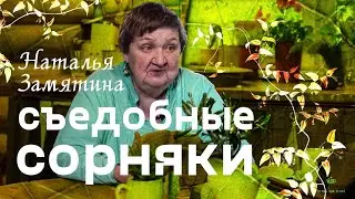 Съедобные дикорастущие травы. Наталья Замятина. Здоровое питание.