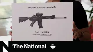 Liberals could lose crucial ally over gun buyback program