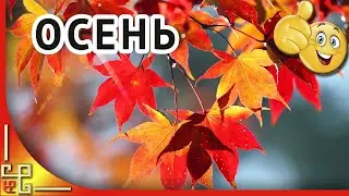 На донышке осталось октября...Здравствуй НОЯБРЬ! Красивые стихи про осень