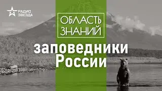 Что делают в России для охраны заповедных мест? Лекция биолога Натальи Решетниковой