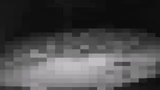 ёжик чехнул, снято на тапок деда