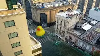 Pato de goma en el abasto