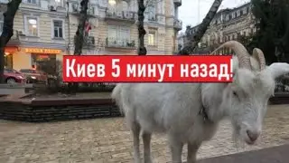 День Святого Валентина в Киеве! Что происходит?