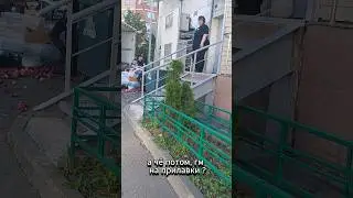 Увидел фрукты на земле блогеру не дали персик Game Guru Said