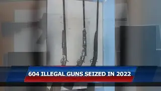 604 Guns Siezed