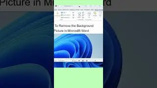 How To Remove Background of a Picture In Microsoft Word