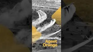 Vietnamkrieg: „Agent Orange" vergiftet bis heute