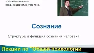 Сознание человека