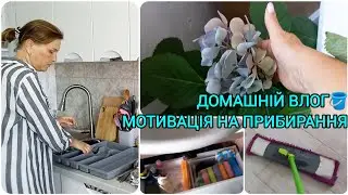 МОТИВАЦІЯ НА ПРИБИРАННЯ🪣🧽Мій звичайний день#продажгортензій#мотиваціянаприбирання#домашнійвлог