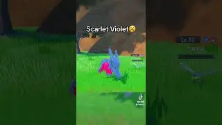 Scarlet & Violet Ruined Dragon Energy😭