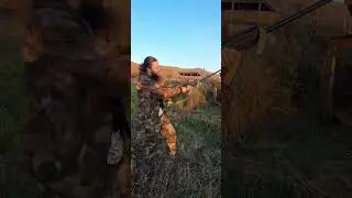 Защитит ли вас запорожец от вооружённых хулиганов