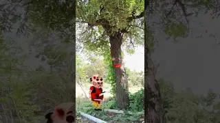 Magic tree and ghost & funny vfx video