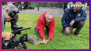 Why the animals at the Point Defiance Zoo and Aquarium love their landscaping