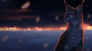 Подкаст от 13.08.22