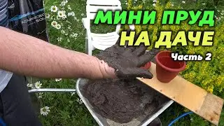 Мини пруд на даче. Часть 2. Сажаем Нимфею по фен-шую!  Или нет?