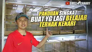 3 Tips belajar cara ternak burung kenari untuk pemula