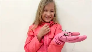 Evelina plays with a large spider and a gecko