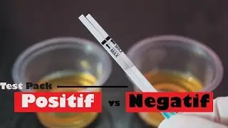 Perbedaan Hasil Tes Kehamilan Positif dan Negatif 💖 Pregnancy Test 💖