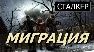 СТАЛКЕР | МИГРАЦИЯ (!)