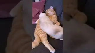Lagi pengen manjaaahhh 😍😍 