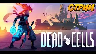 Стрим по Dead cells