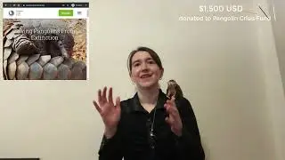 Update on Pangolins Crisis Fund Donations for 2021