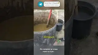 Лучше навоза — дрожжевая подкормка для земли #огород #почва #удобрение #дрожжи #дача #рассада