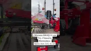 2 ноября 2022 г.