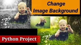 Change Image Background in Python | Replace Background Image using PixelLib Python | Python Project