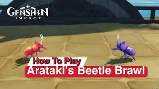 How To play Arataki's Beetle Browl day 1 event guide | pain-grocer fanatic passion genshin impact