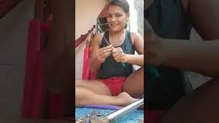sabe descascar castanha?