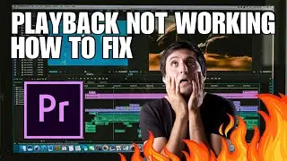 Adobe Premiere Pro Playback Not Working/Responding (FIX)